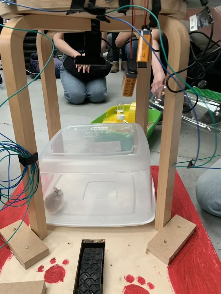 The hamster in its tub above the drive base